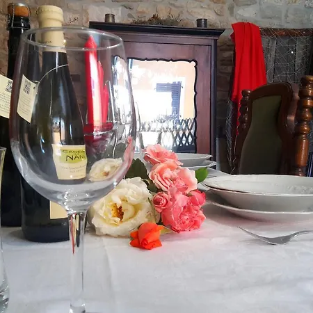 Gracia Apartment